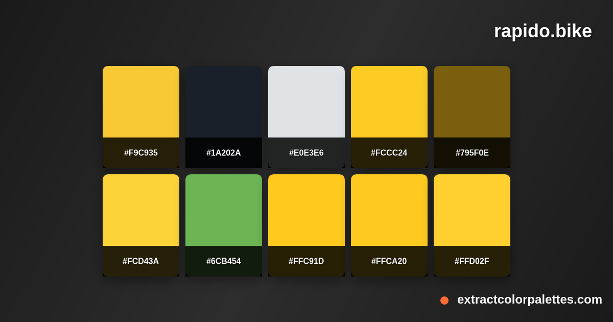 Rapido.bike Color Palette Preview
