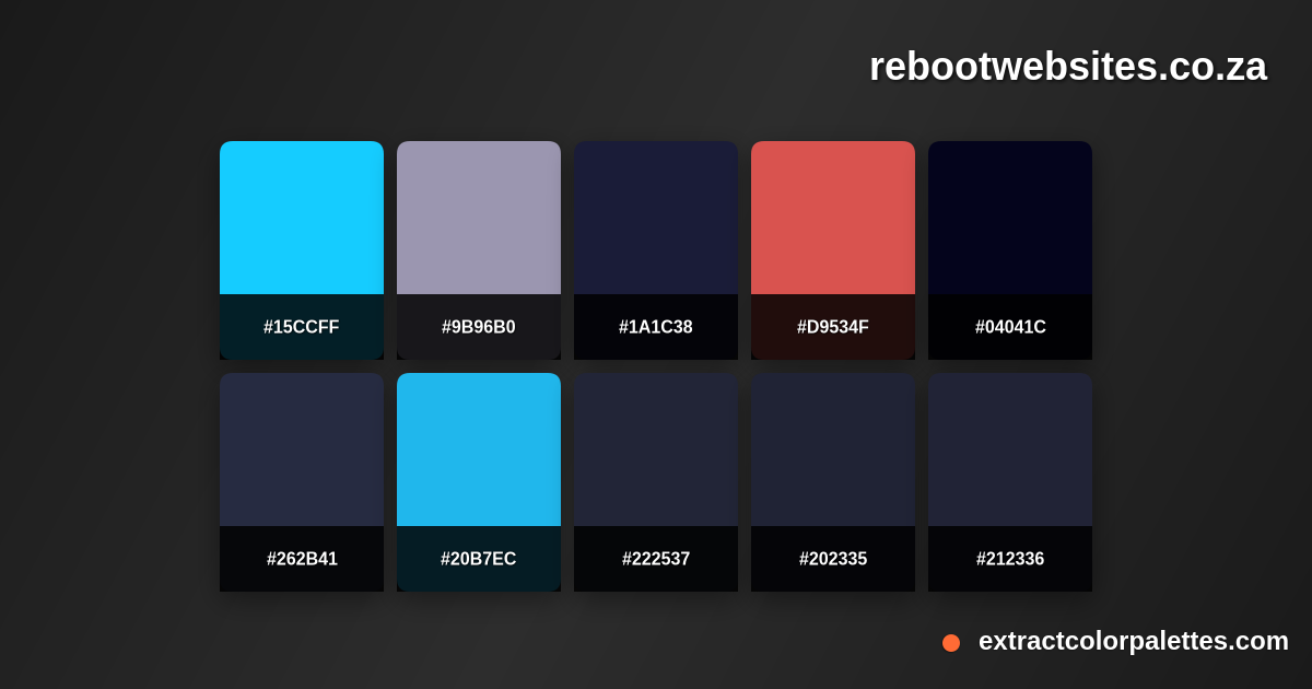 Rebootwebsites.co.za Color Palette Preview