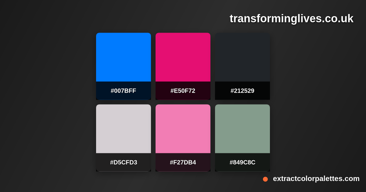 www.Transforminglives.co.uk Color Palette Preview