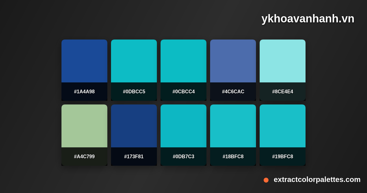Ykhoavanhanh.vn Color Palette Preview